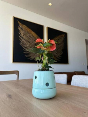 Olivo Apartment HP - Sur